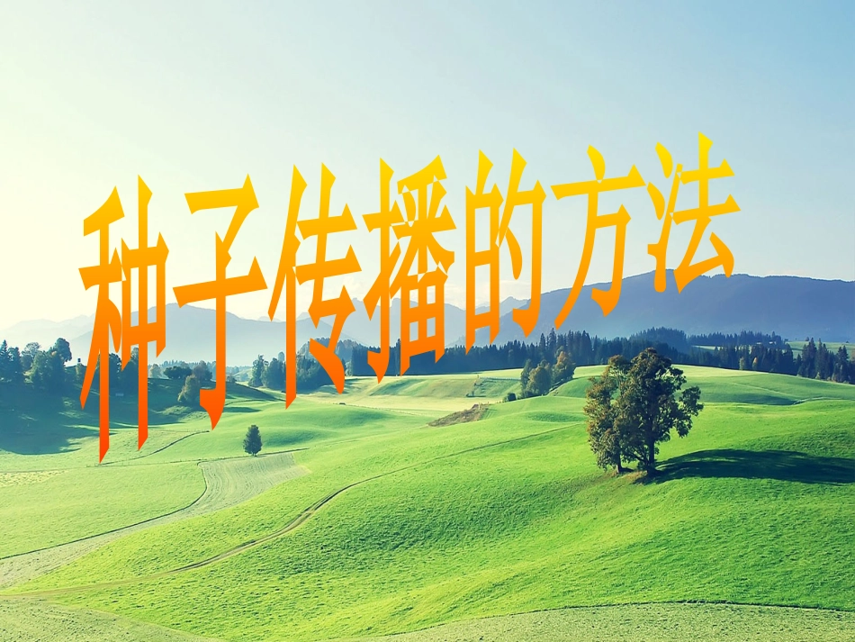 五年级综合实践活动课件-走进种子的世界 全国通用（共28张PPT）.pptx_第3页