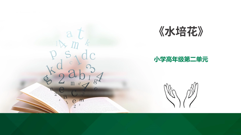 小学高年级第二单元第7课《水培花》课件.pptx_第1页