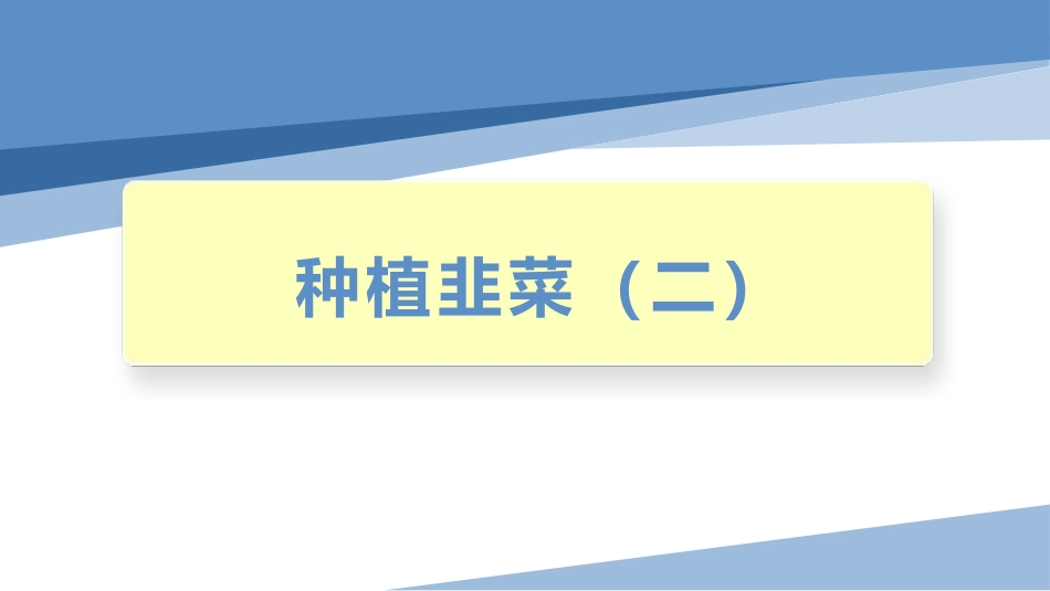 种植韭菜（二）（课件）-四年级劳动教育“小农庄”（校本课程）.pptx_第1页