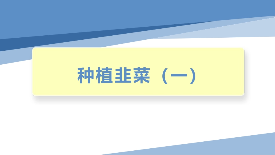 种植韭菜（一）（课件）-四年级劳动教育“小农庄”（校本课程）.pptx_第1页