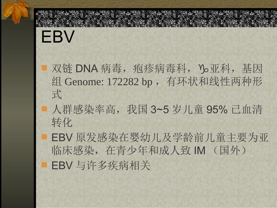 儿童EBV感染及相关疾病的诊断讲.pptx_第3页