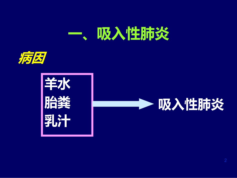 新生儿肺炎NeonatalPneumonia.pptx_第2页