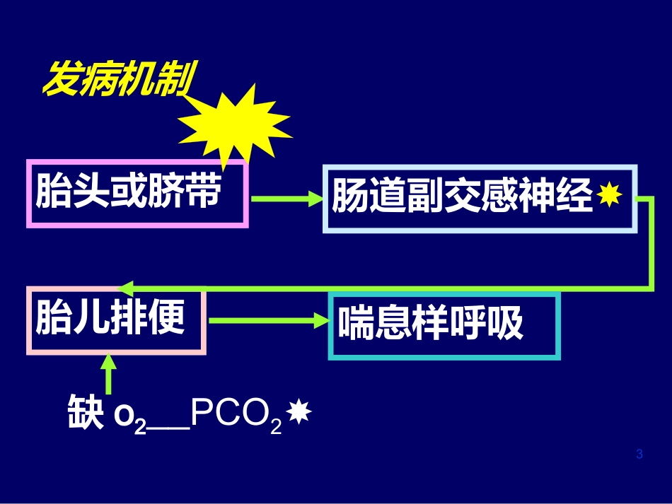 新生儿肺炎NeonatalPneumonia.pptx_第3页