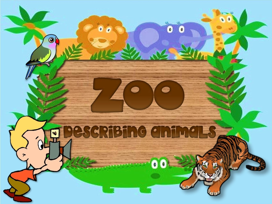 zoo-animals(practice).pptx_第1页