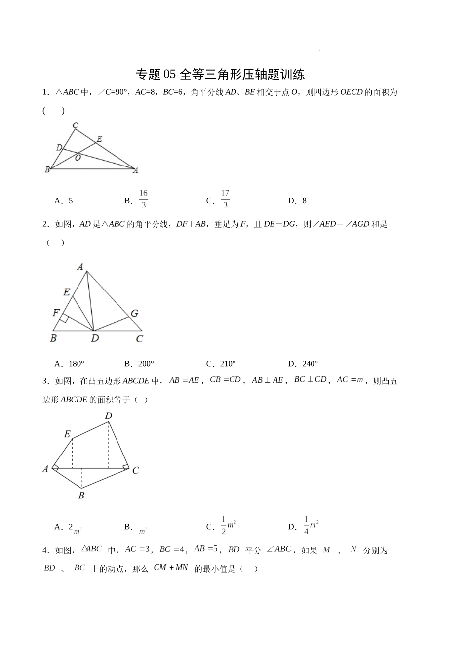 专题05 全等三角形压轴题训练（原卷版）（人教版） -备战2023-2024学年八年级数学上学期期中真题分类汇编（人教版）.docx_第1页