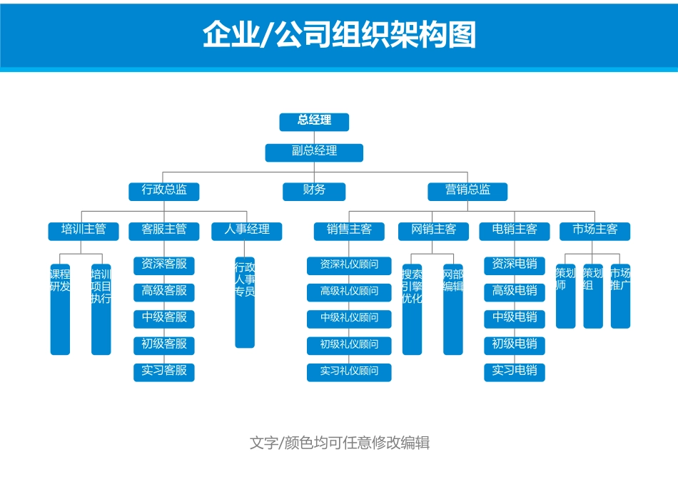 【销售公司】-01-组织架构图.docx_第1页