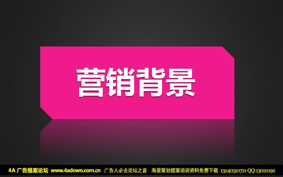 2012新佳丽时尚广场圣诞活动策划案-42P.pdf_第3页