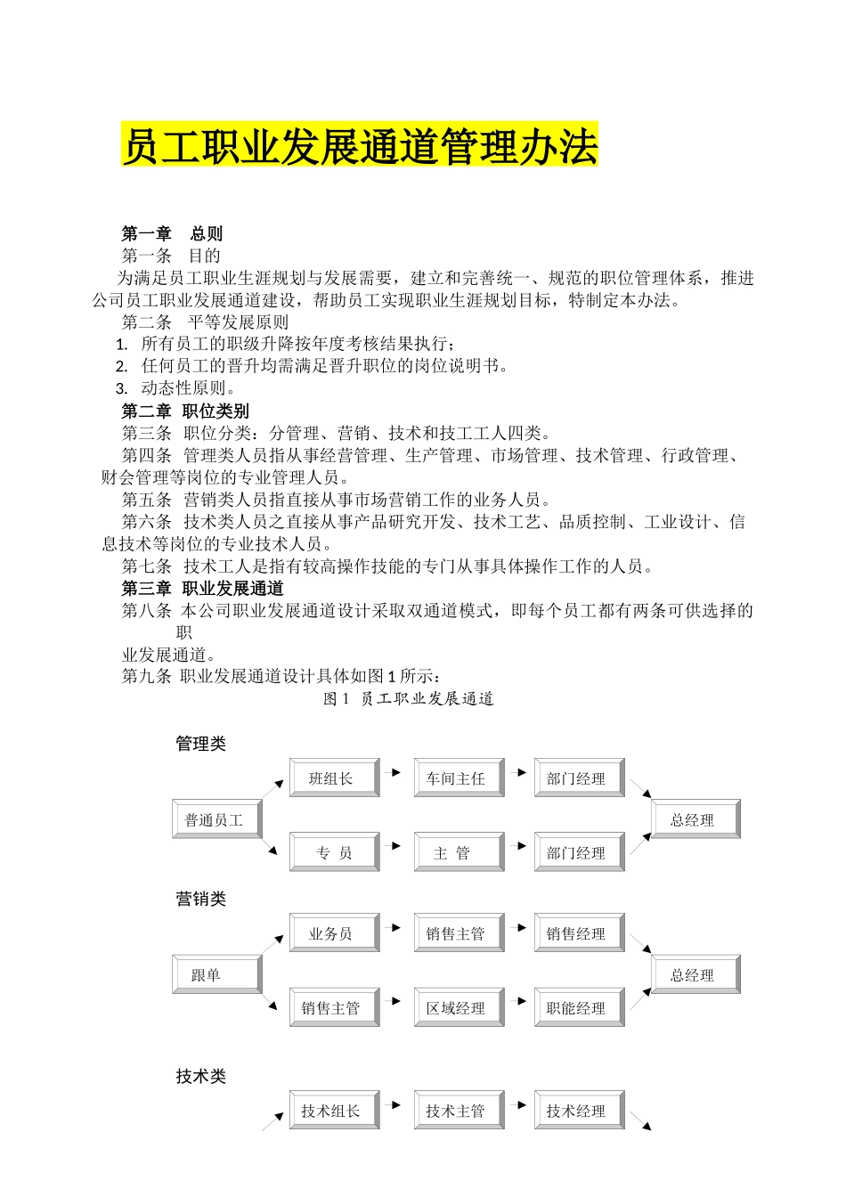 员工职业发展通道管理办法 3P.docx_第1页