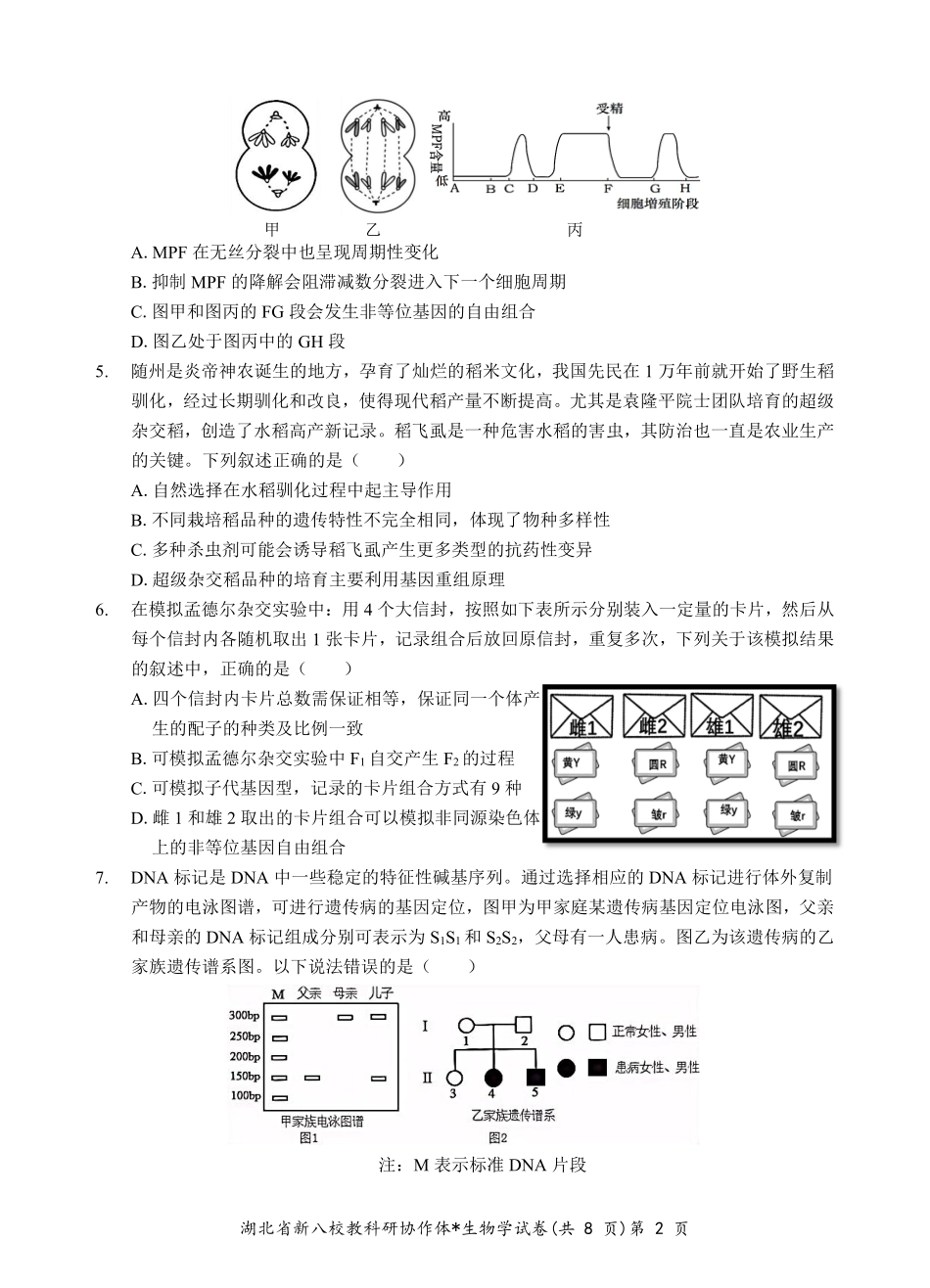 2025年湖北省新八校协作体高三2月联考（全科）生物试卷.pdf_第2页