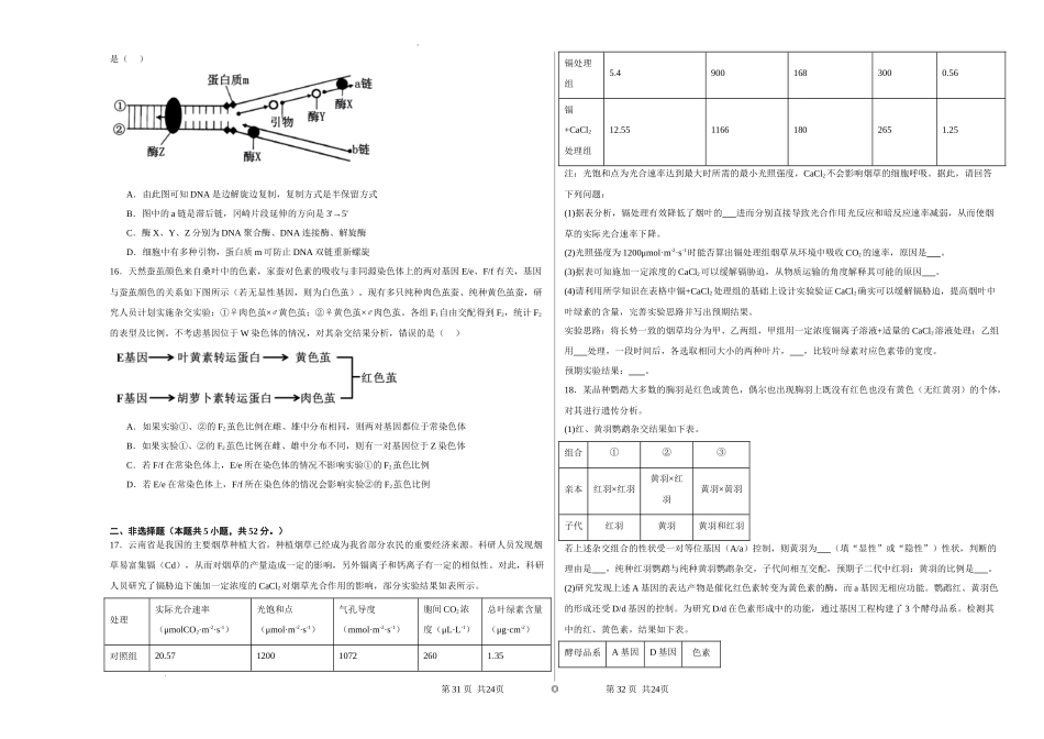 宁夏石嘴山市第一中学2024-2025学年高三上学期1月期末生物含答案.docx_第3页