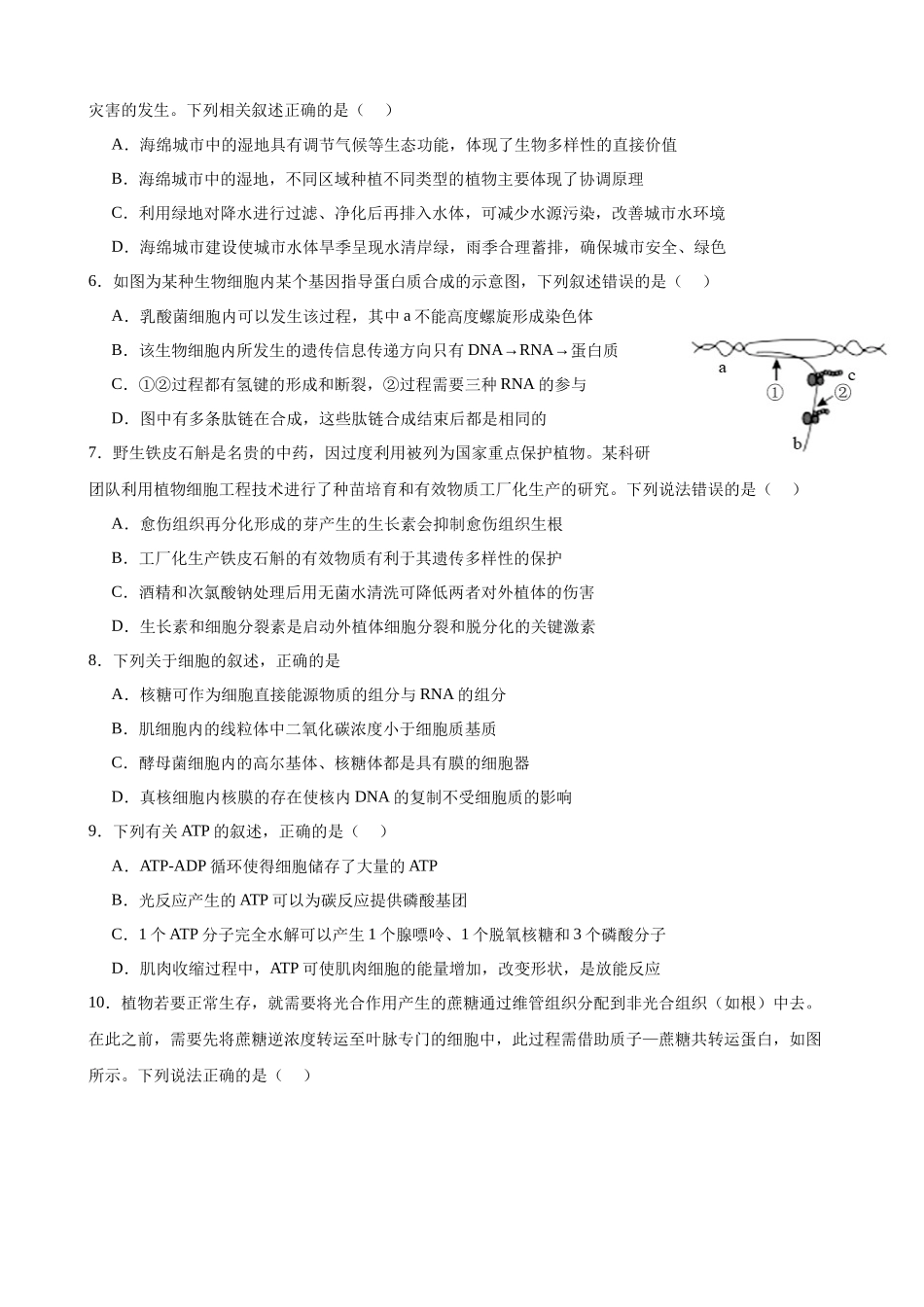 山东省淄博实验中学2024-2025学年高三下学期开学考试生物试题（有答案）.docx_第2页