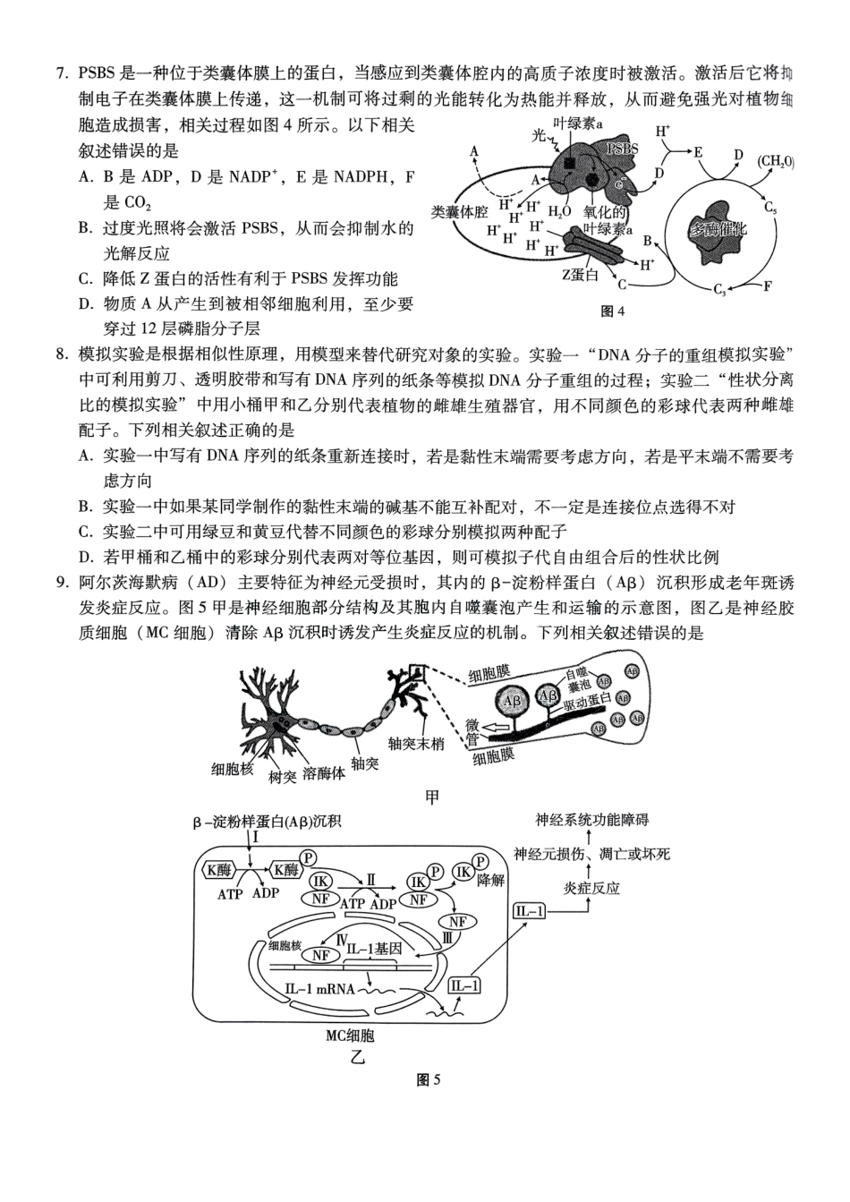 巴蜀中学2025届高考适应性月考卷（五）生物含答案.pdf_第3页