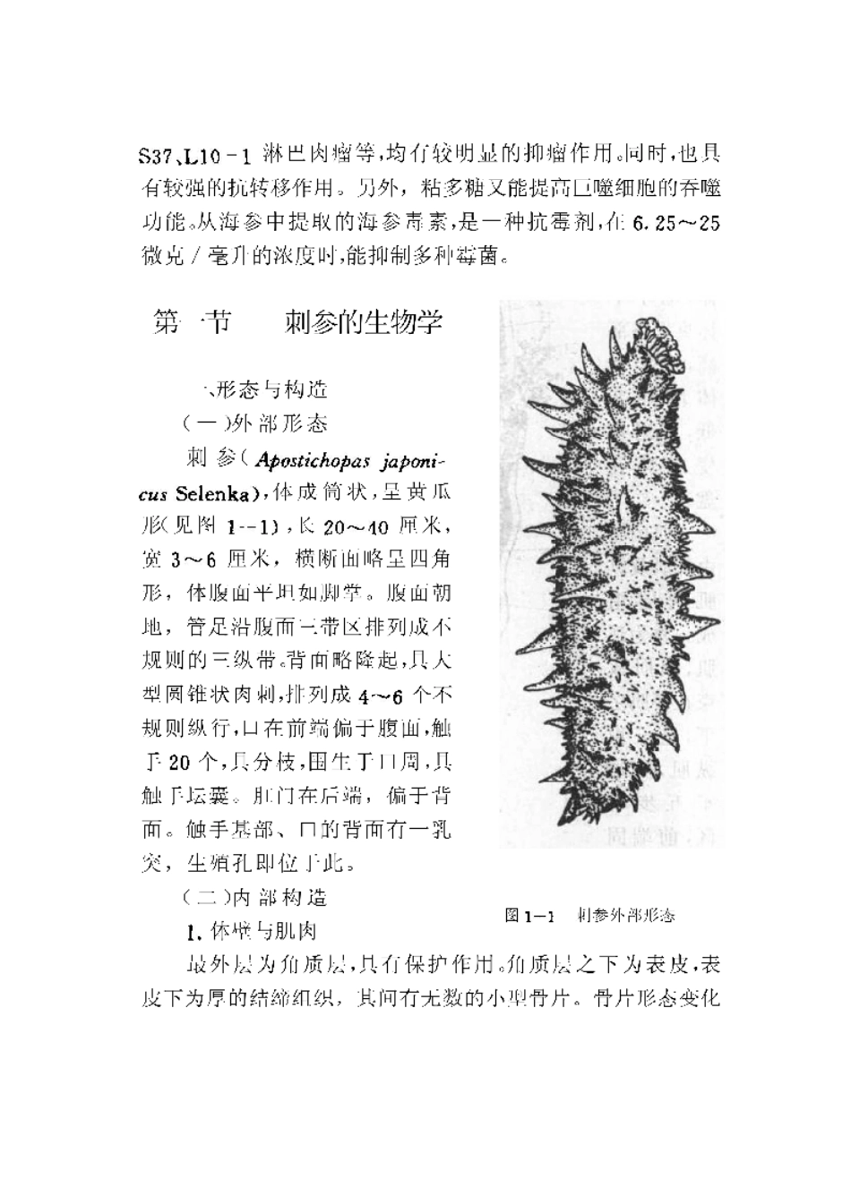 2025年农业领域资料：海参、海胆增养殖技术.pdf_第3页