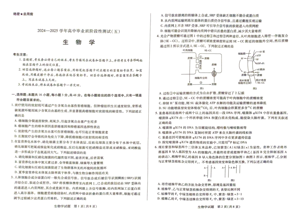 河南省天一大联考2024-2025学年高三下学期阶段测试（五）生物学试题.pdf_第1页