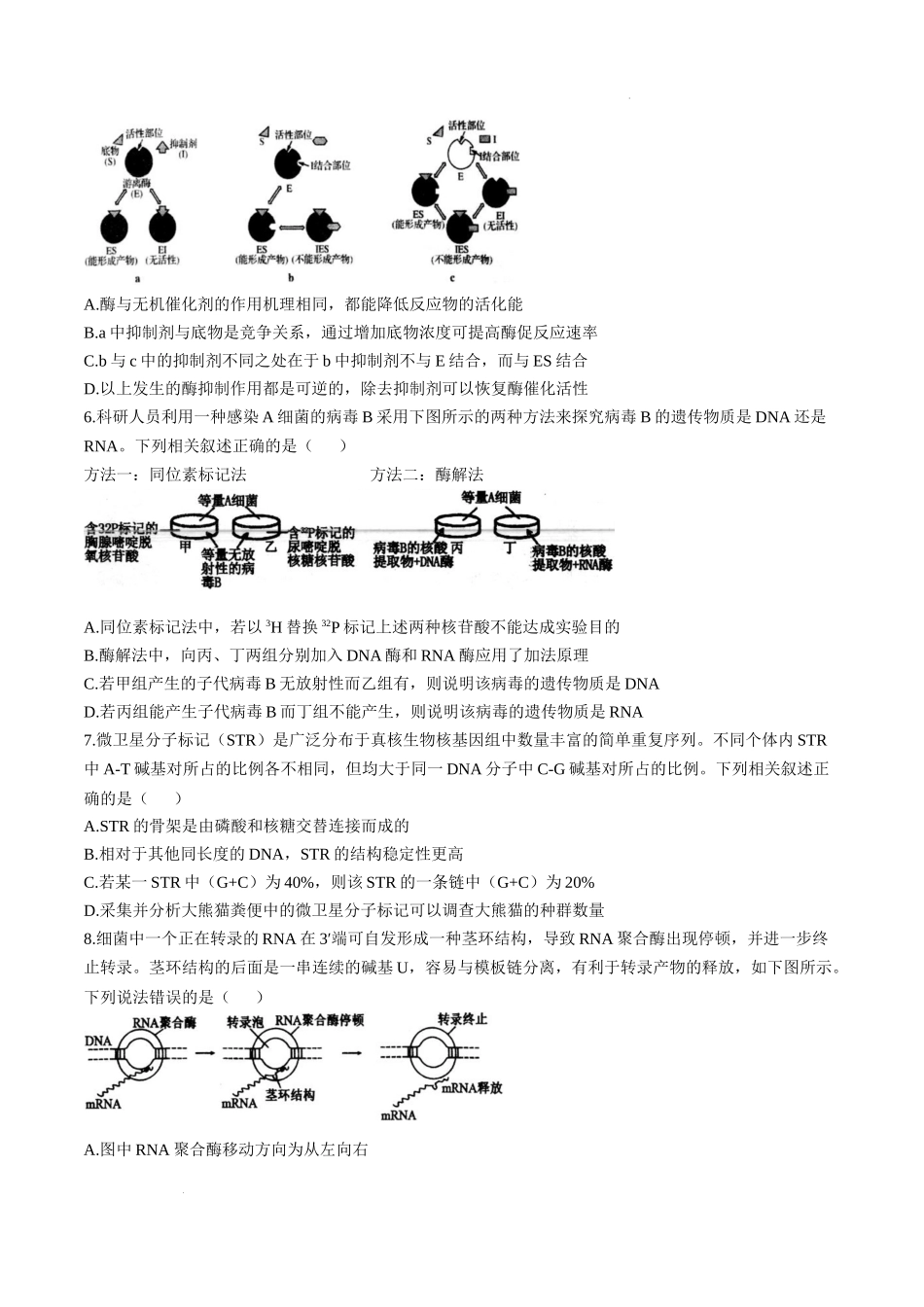 江苏省扬州市高邮市2024-2025学年高三下学期开学考试生物+答案.docx_第2页