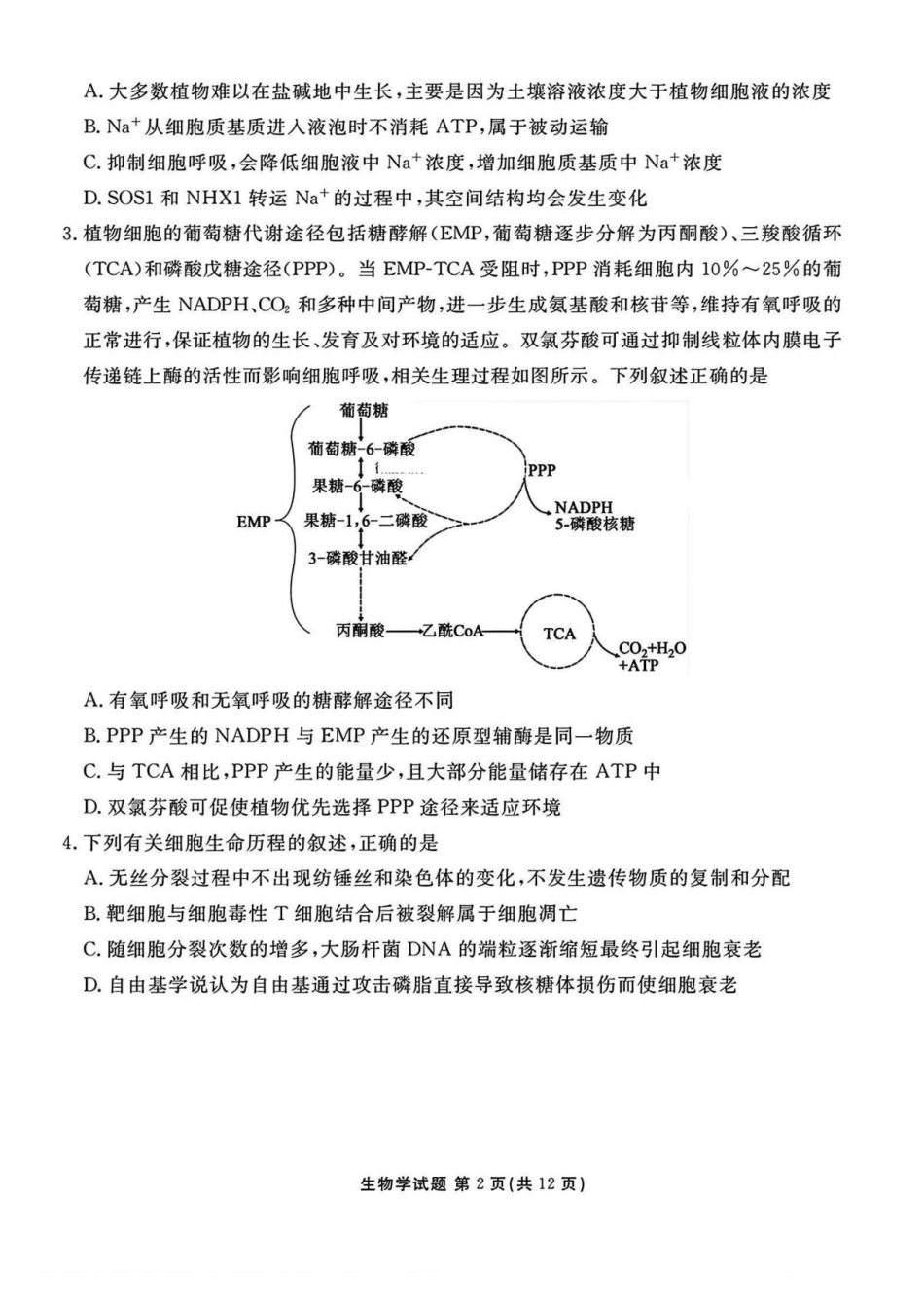 山西省部分学校2024-2025学年高三下学期2月开学考试生物试卷+答案.pdf_第2页