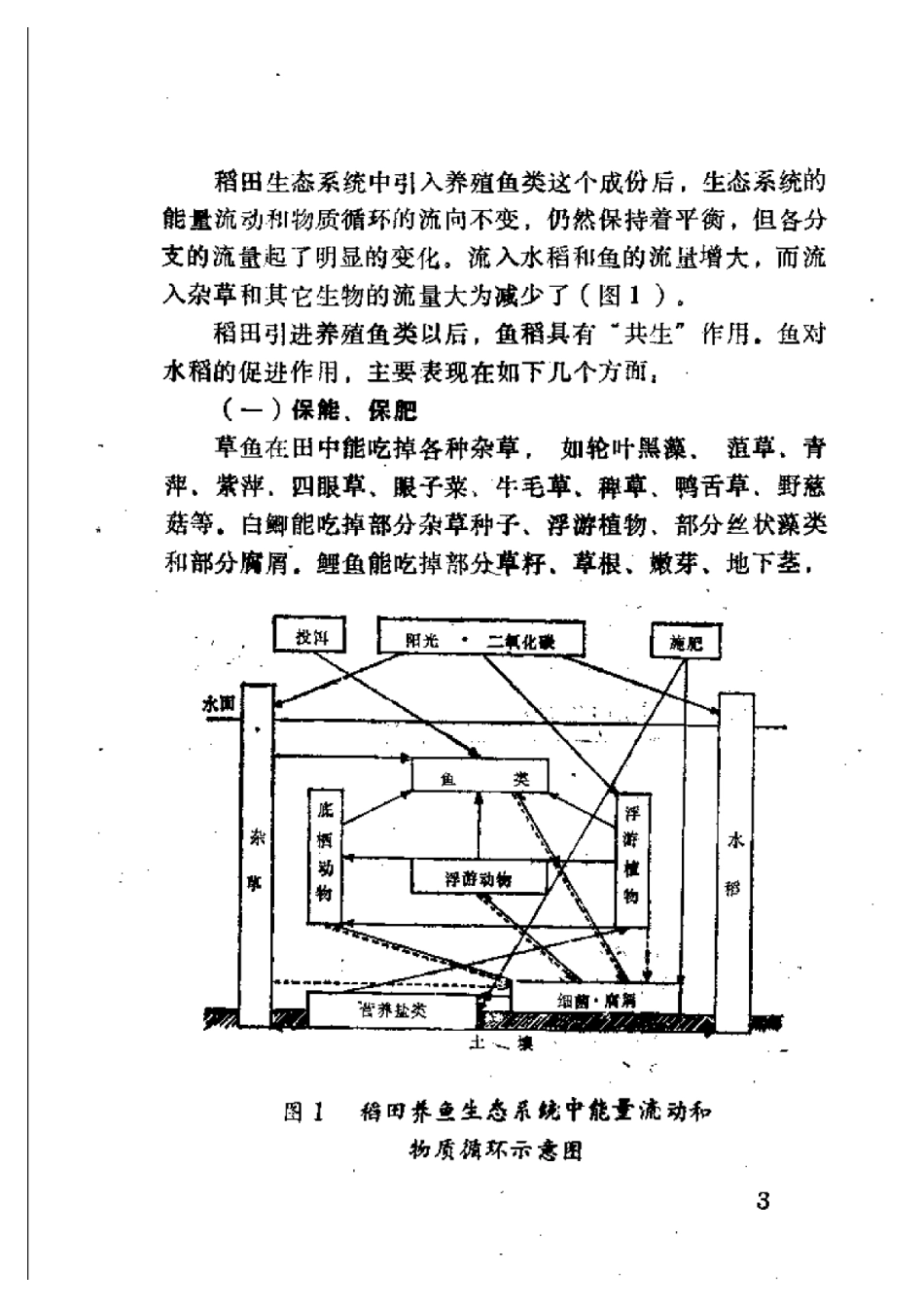 2025年农业领域资料：四川稻田养鱼.pdf_第2页