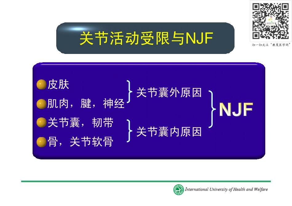 2025年医学资料：神经肌肉关节促进法（NJF）.pdf_第3页