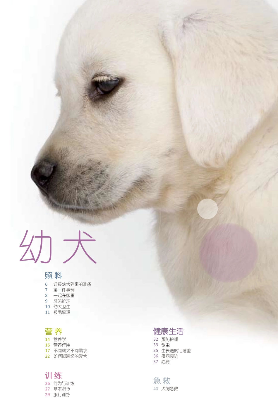 2025年医学资料：幼犬成长指导手册.pdf_第3页