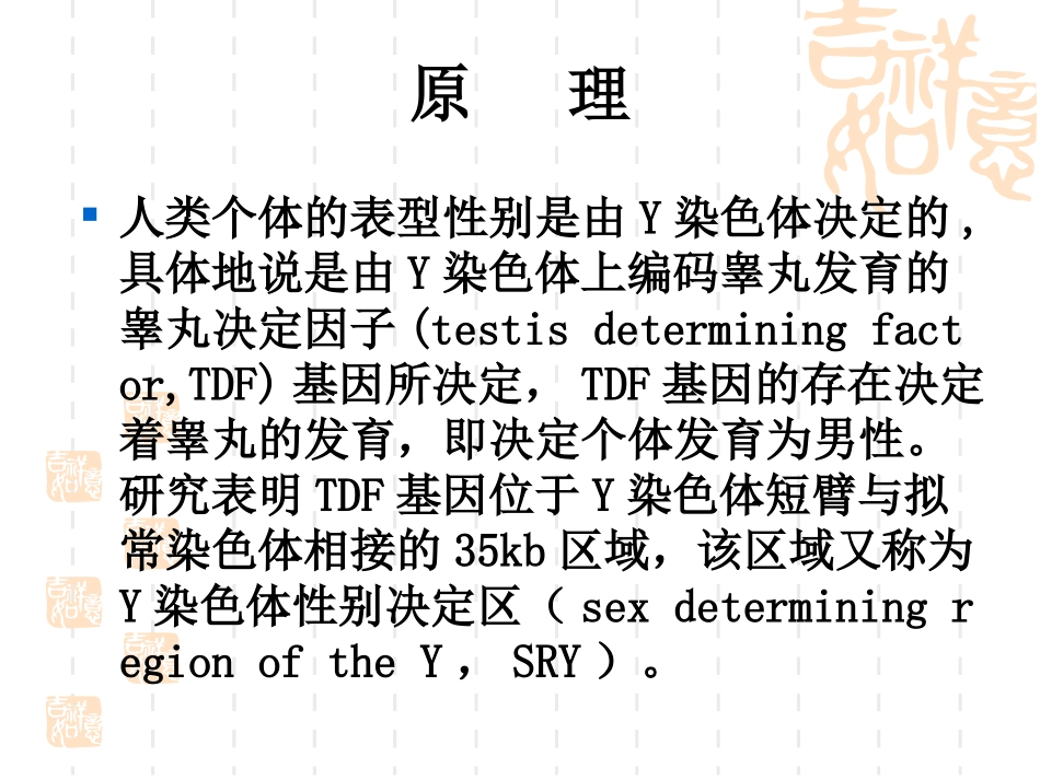 2025年医学资料：4.用PCR扩增法检测性别.ppt_第3页