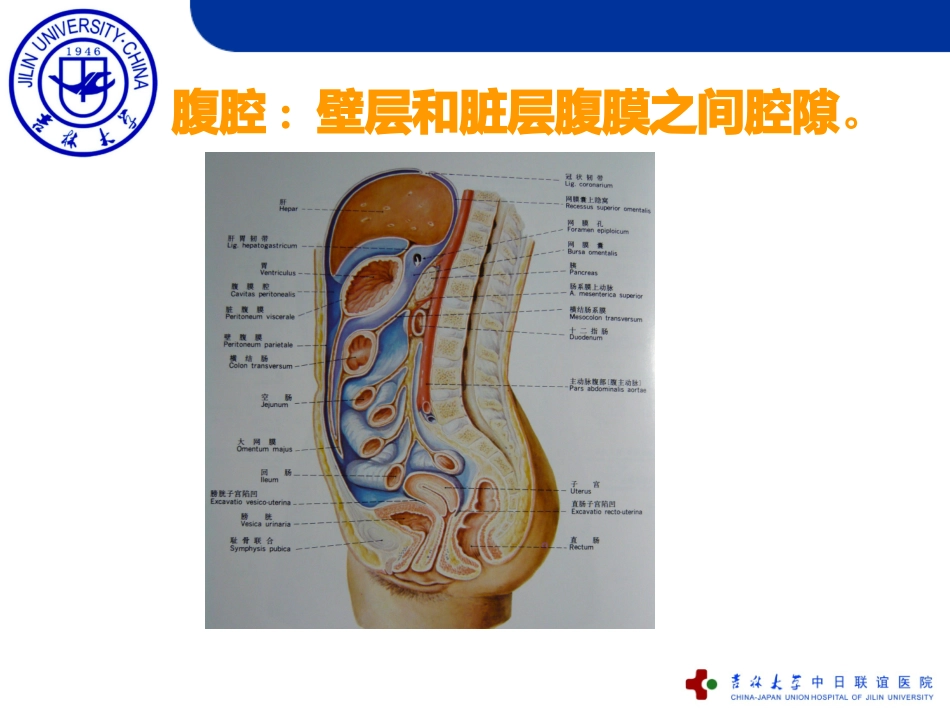 2025年医学资料：5)急性化脓性腹膜炎.ppt_第3页