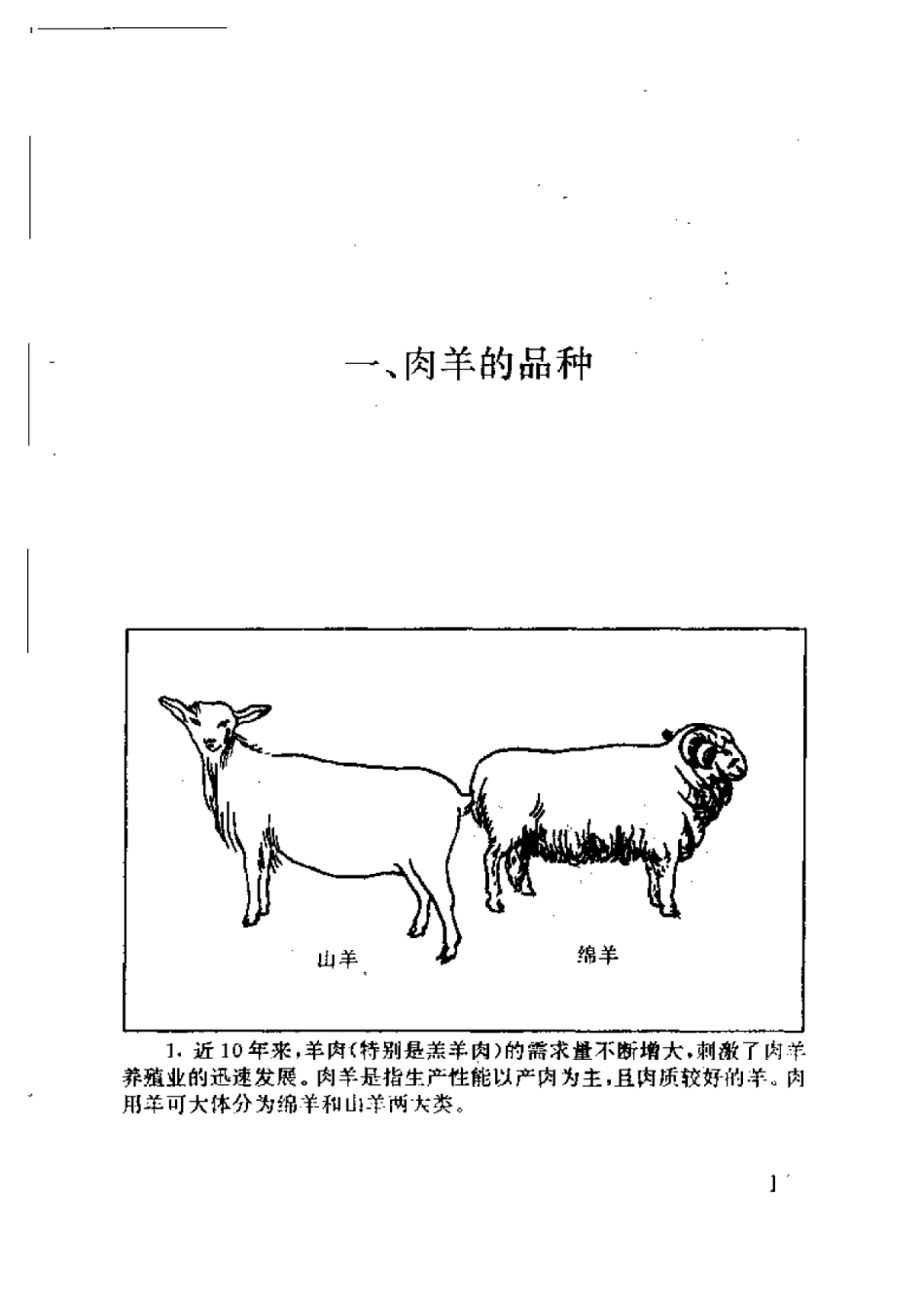 2025年农业领域资料：看图科学养肉羊.pdf_第2页