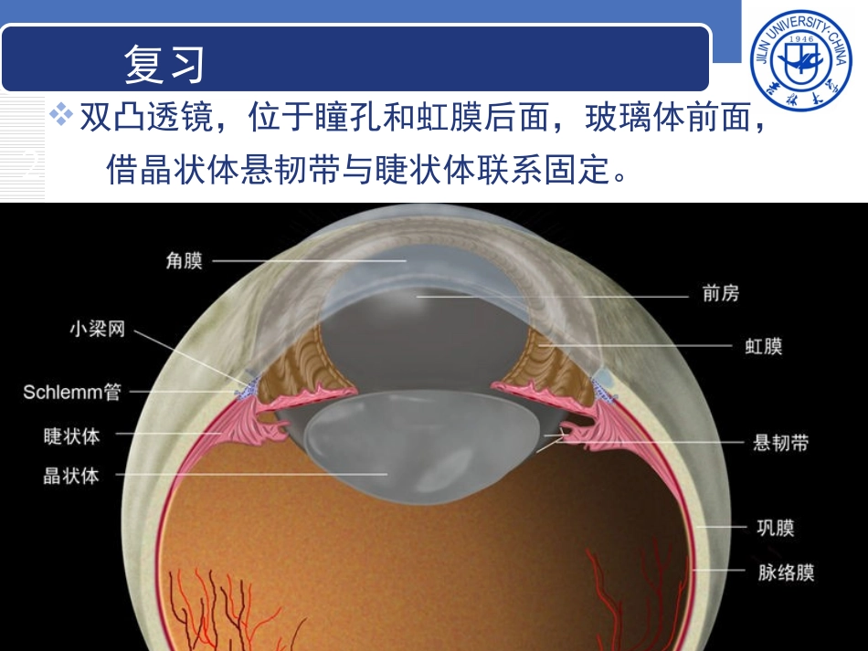 2025年医学资料：8)晶状体病.ppt_第2页