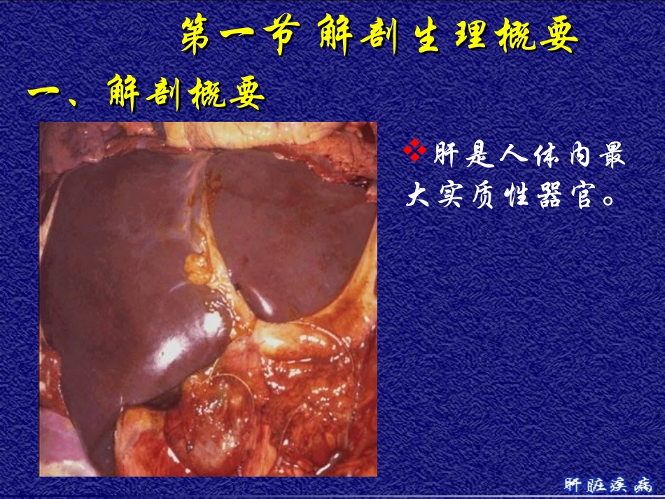 2025年医学资料：10)级放射口腔肝脏疾病.ppt_第2页