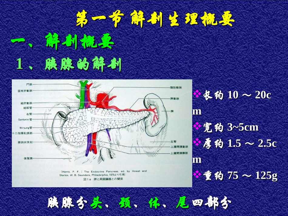 2025年医学资料：14)年胰腺疾病.ppt_第3页