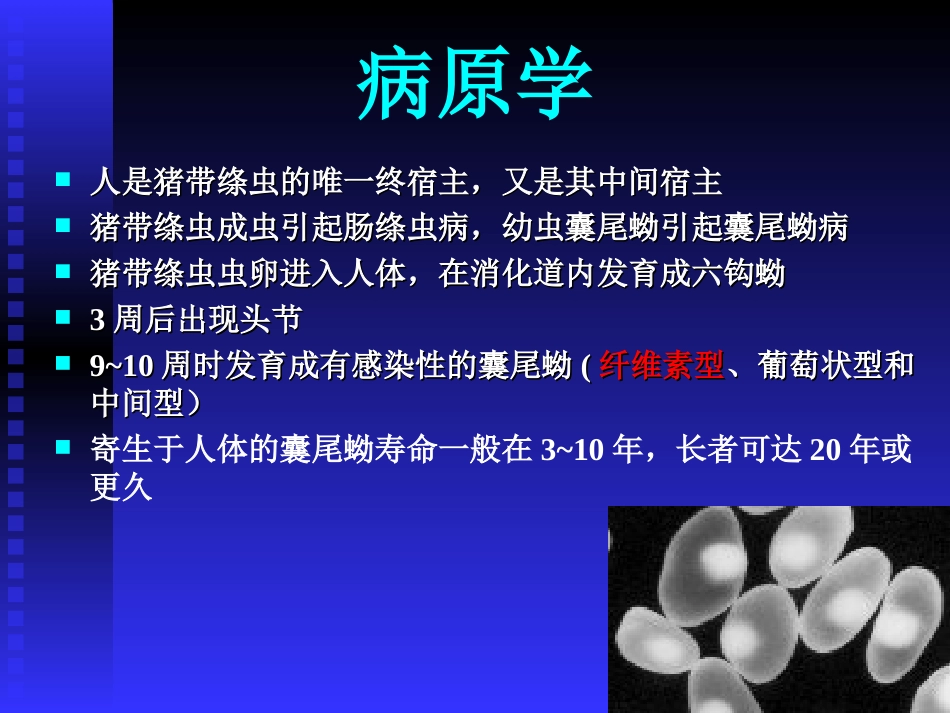 2025年医学资料：15)囊尾蚴病.ppt_第3页