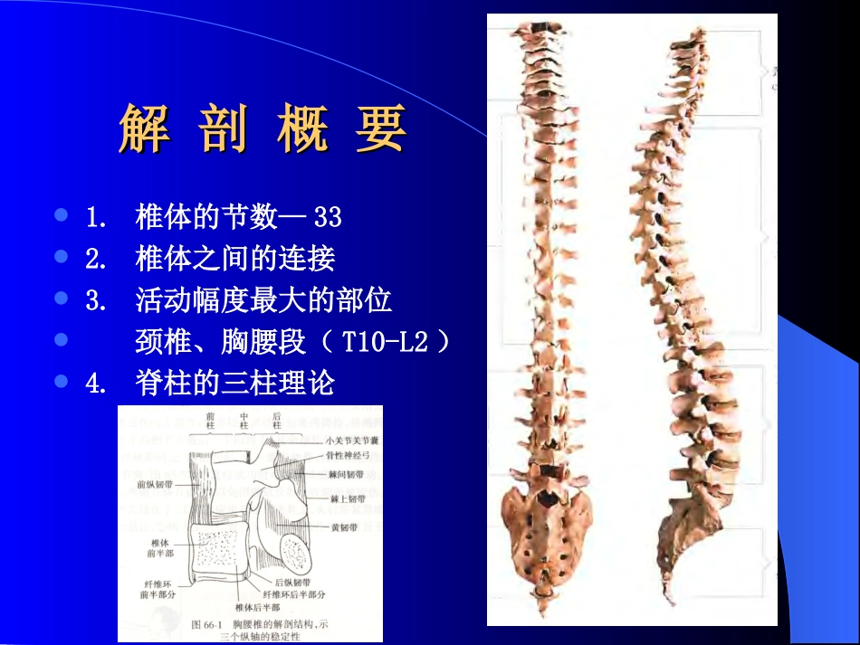 2025年医学资料：20)脊柱骨折1.ppt_第2页