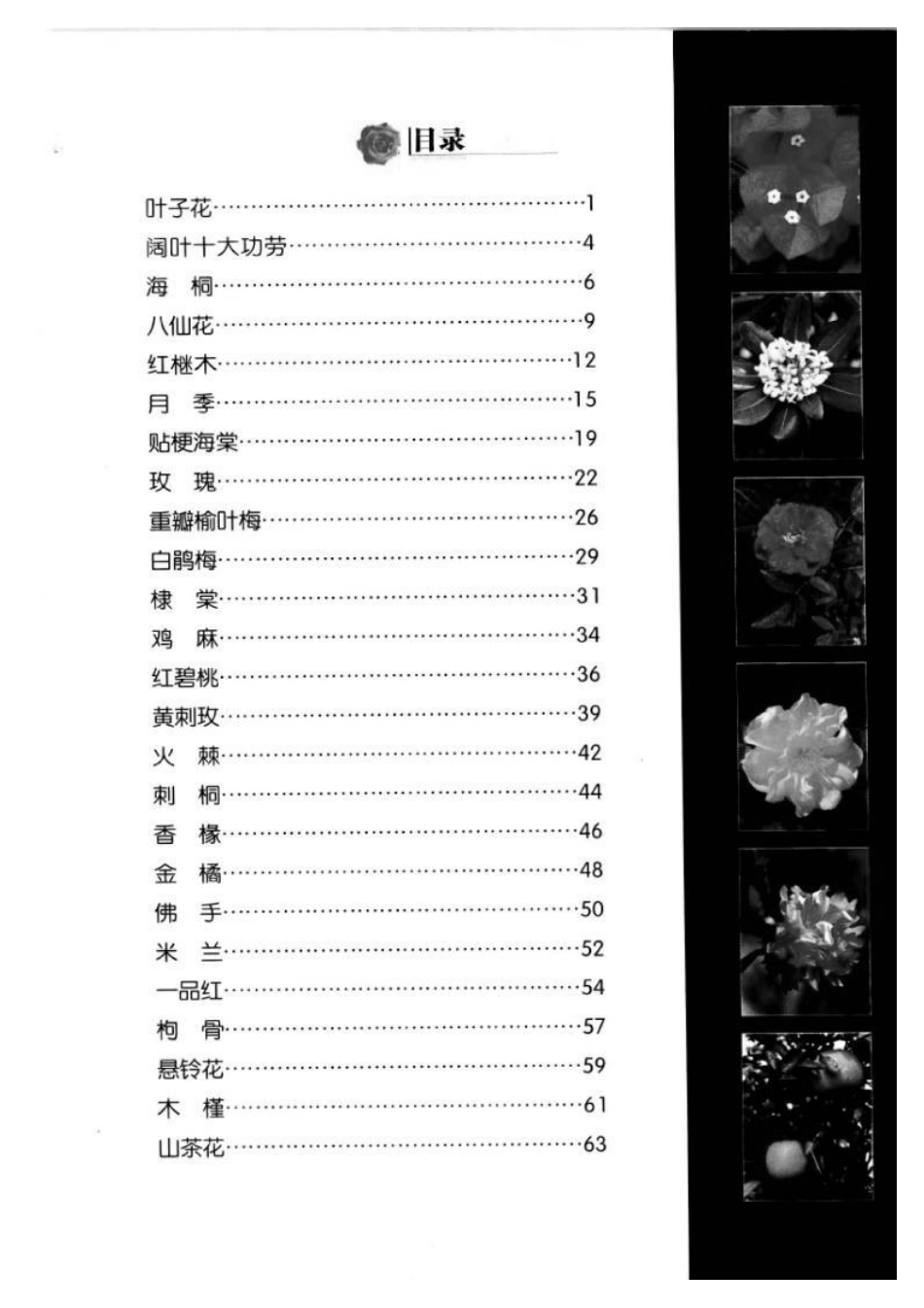 2025年农业领域资料：木本花卉.pdf_第1页