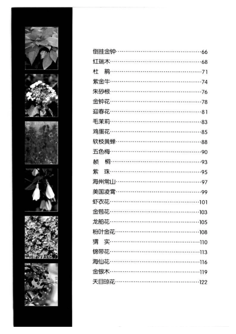 2025年农业领域资料：木本花卉.pdf_第2页