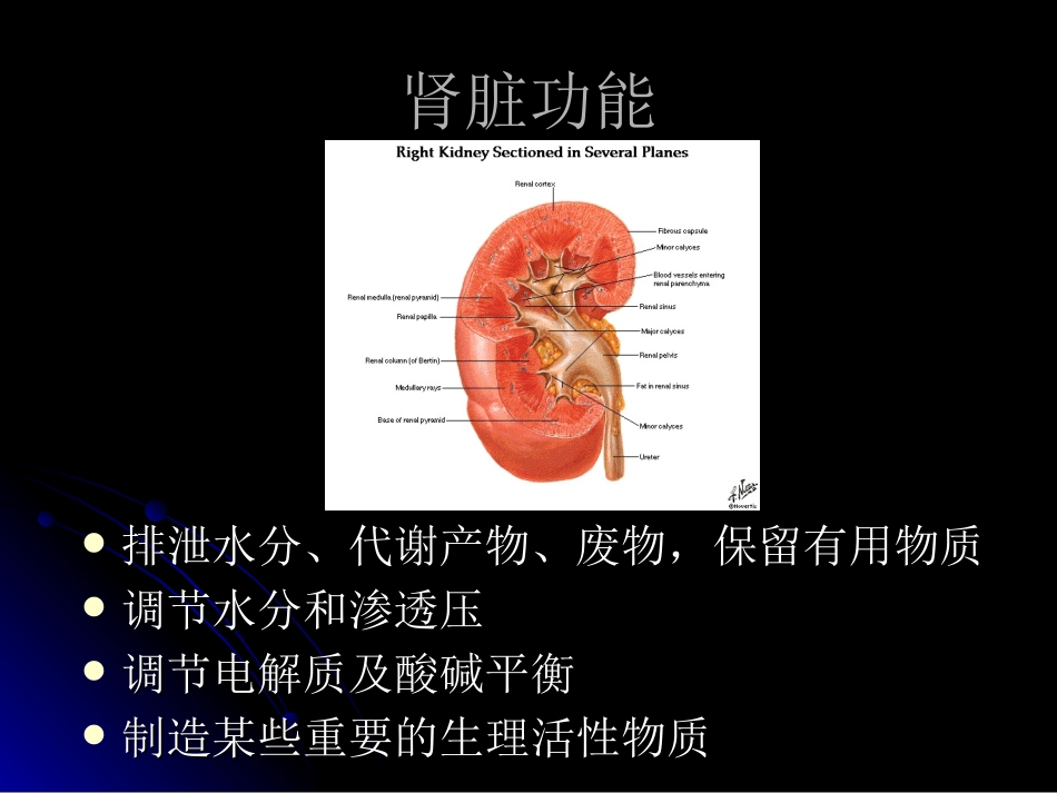 2025年医学资料：2014放射口腔肾功检查.ppt_第2页