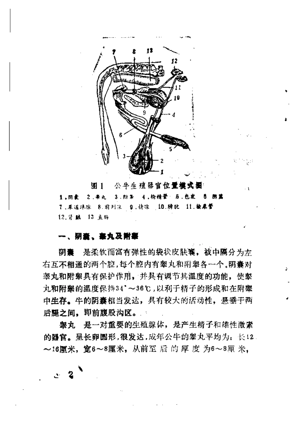 2025年农业领域资料：牛繁殖技术.pdf_第2页