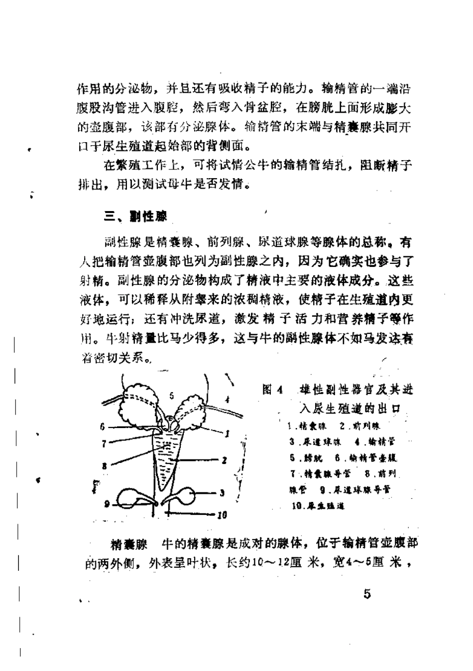 2025年农业领域资料：牛繁殖技术.pdf_第3页