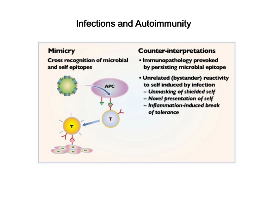 2025年医学资料：JHAutoimmunity.ppt_第1页