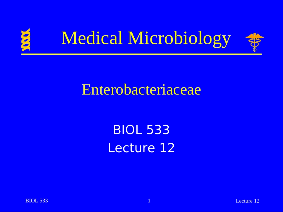 2025年医学资料：lecture 12.ppt_第1页