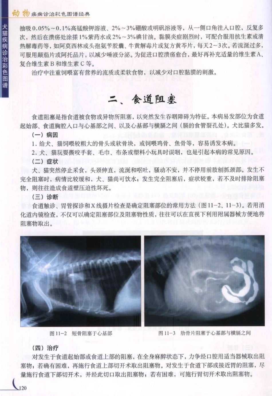 2025年医学资料：第11章消化系统疾病.PDF_第2页