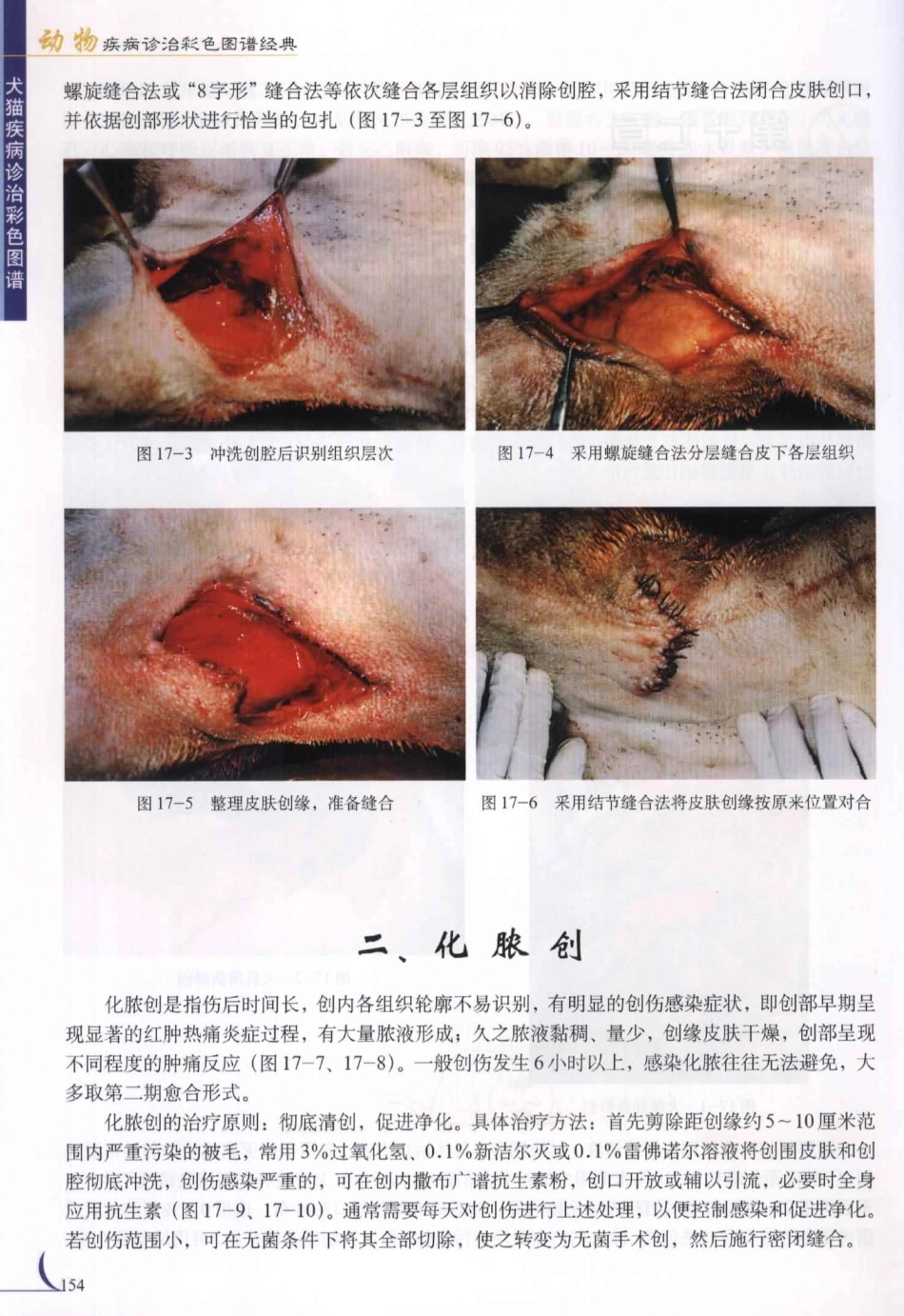 2025年医学资料：第17章软组织损伤与感染.PDF_第2页