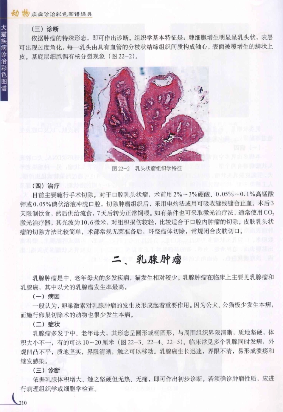 2025年医学资料：第22章肿瘤.PDF_第2页