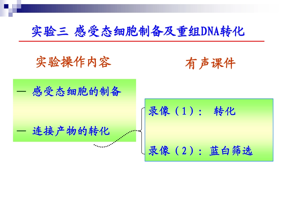 2025年医学资料：第三次课 感受态制备 转化.pdf_第3页