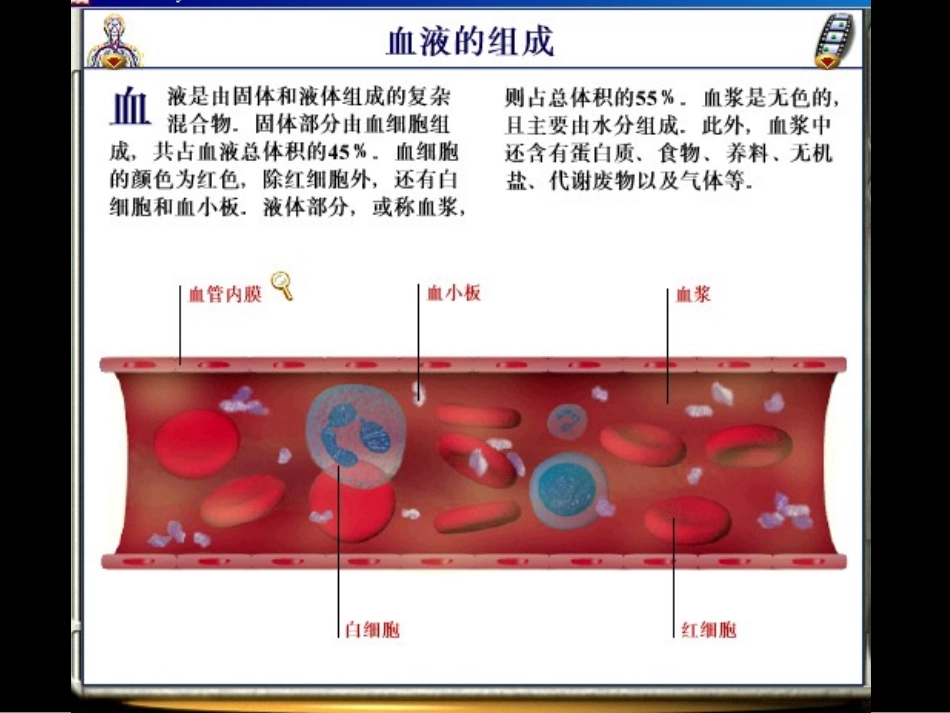 2025年医学资料：红细胞检测讲稿.ppt_第3页