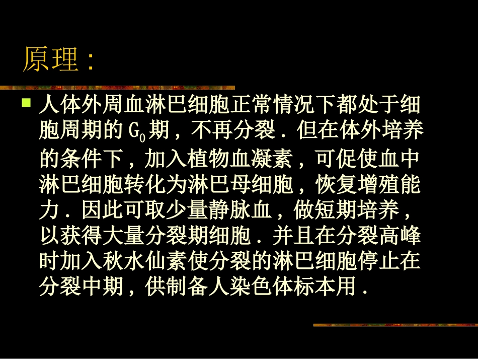 2025年医学资料：人外周血淋巴细胞培养及染色体.ppt_第2页