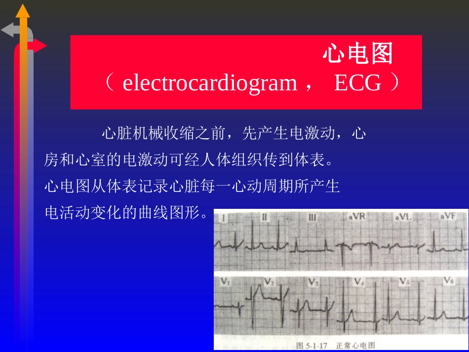 2025年医学资料：心电图－第一次课（1、2节）.ppt_第2页