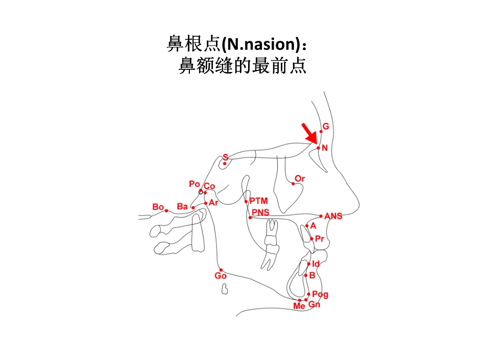 2025年医学资料：163（电子书）正畸解剖标志点.pdf_第2页