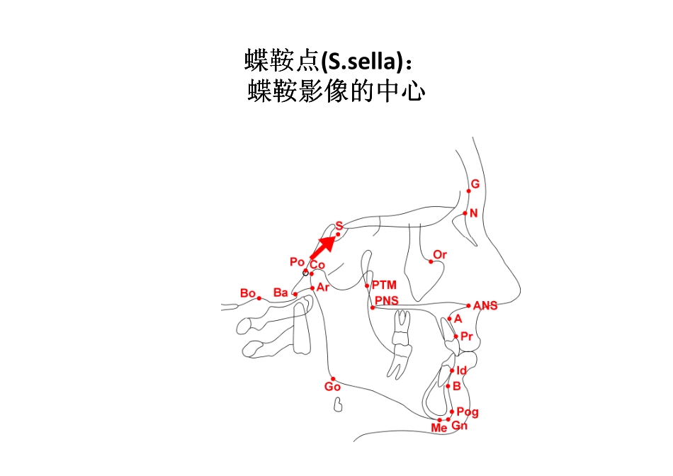 2025年医学资料：163（电子书）正畸解剖标志点.pdf_第3页