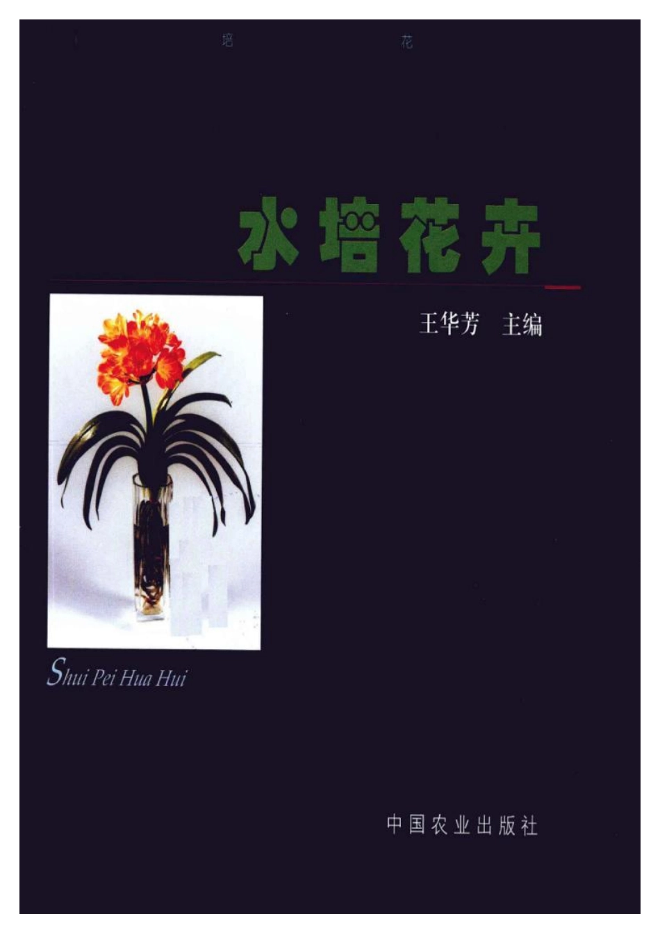 2025年农业领域资料：水培花卉.pdf_第1页