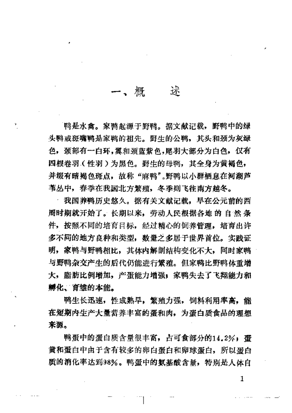 2025年农业领域资料：养鸭和鸭病防治.pdf_第3页