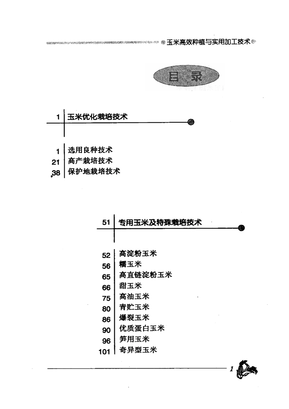 2025年农业领域资料：玉米高效种植与实用加工技术.pdf_第1页